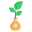 Growing Plant icon