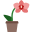 Orquídea icon