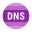 DNS icon