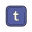 Tumblr icon