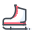 Schlittschuh icon