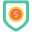 Money shield icon