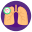 Lung Cancer icon