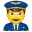 piloto humano icon