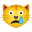 Weinende Katze icon