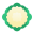 Cauliflower icon