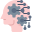 brain icon