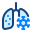 Lungs icon