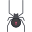 Black Widow Spider icon