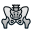 Pelvis icon