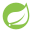 Spring Boot icon