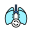 Lungs Transplant icon