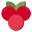 Cranberry icon