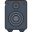 Speaker icon