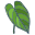 Anthurium icon