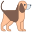 Perro icon