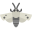 Hawk Moth icon