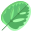 Calathea Leaf icon