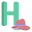 H icon