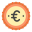 Euro icon