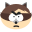 The Coon icon