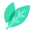 Bay Leaf icon