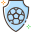 21-football badge icon