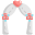 Wedding Arch icon