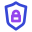 Double protection icon