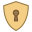 Накладка дверного замка icon