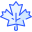 Mapple Leaf icon