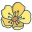 Buttercup icon