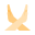 ban-tipo-pelle-1 icon