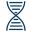 Dna icon