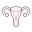 Uterus icon