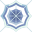 Spider web icon