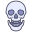 Anatomy icon