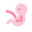 胎儿 icon