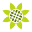 Bloom icon