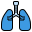 Lung icon