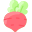 Radish icon