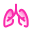 Pulmones icon