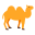 Camel icon