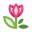 Tulipe icon