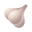 Garlic icon