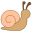 Snail icon