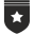 Insignia icon