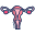 Uterus icon