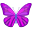 Mariposa icon