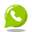 WhatsApp icon